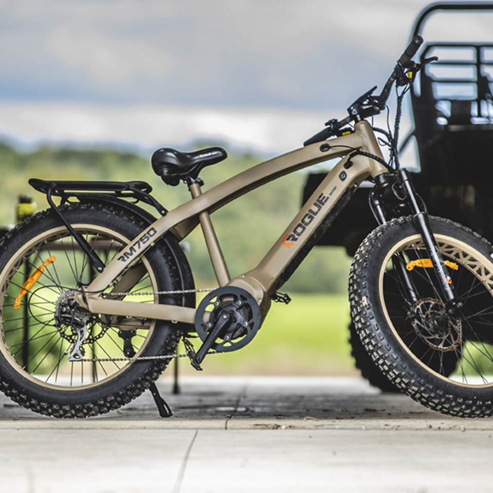 2020 RM750 – 750-Watt Electric Fat Tire Bike