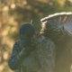 Rogue Ridge Chasing 49 turkey hunting Press Release